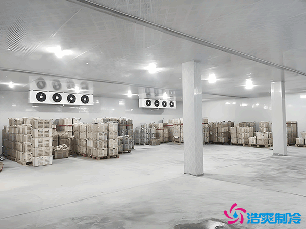 不同類型冷庫單方造價表