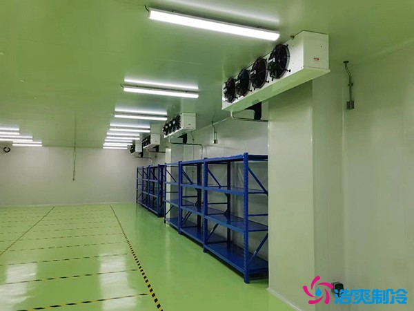 儲存疫苗的企業(yè)獨立冷庫有幾個？生物疫苗冷庫造價