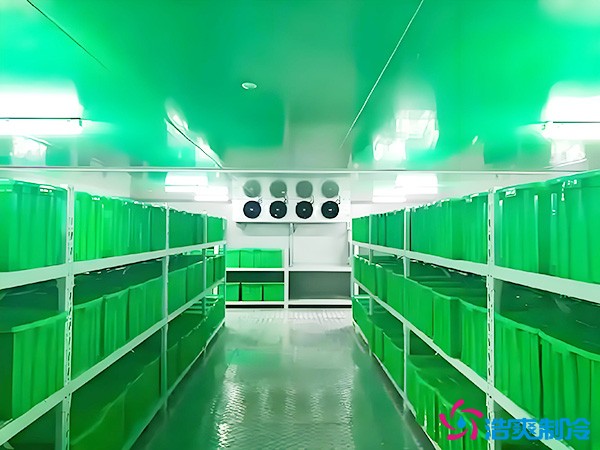 藥品批發(fā)企業(yè)冷藏庫平方面積要求多少？1000平藥企冷庫造價(jià)