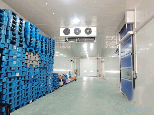 想建一個(gè)市級(jí)配送中心冷庫建設(shè)成本大概多少錢？