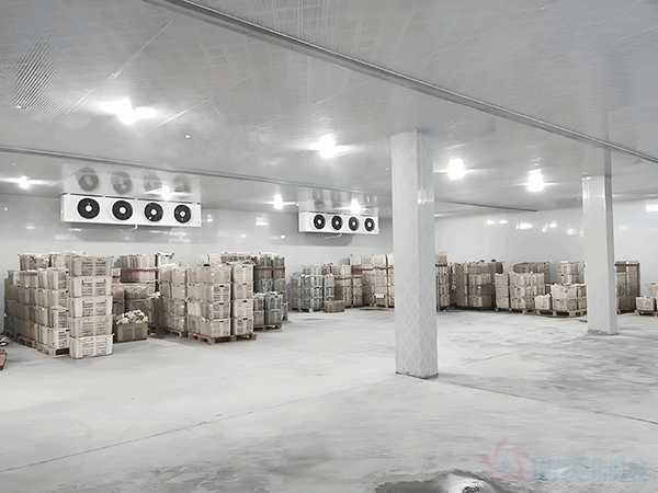 高標(biāo)準(zhǔn)冷庫建設(shè)多少錢一平方？