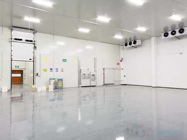 獸用生物制品冷庫面積需要建多大？造價預(yù)算多少錢