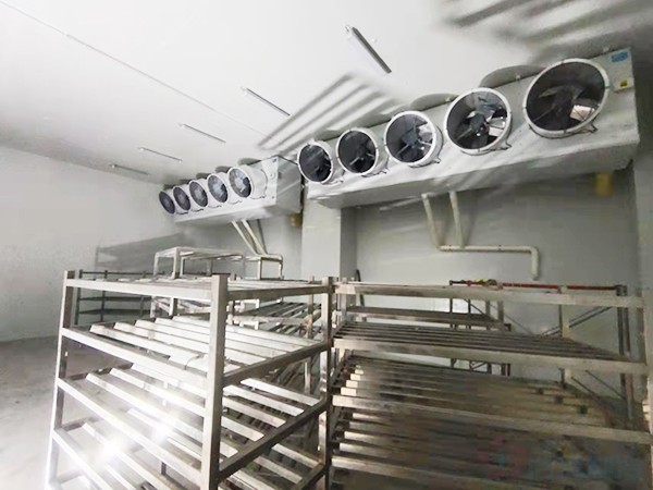 建造1000立方冷凍庫配多大壓縮機？造價預算多少錢？