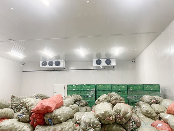 影響蔬菜保鮮冷庫建造價格的因素有哪些？