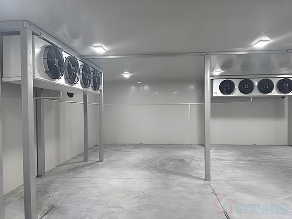 基因冷庫建設(shè)需要滿足什么標準條件