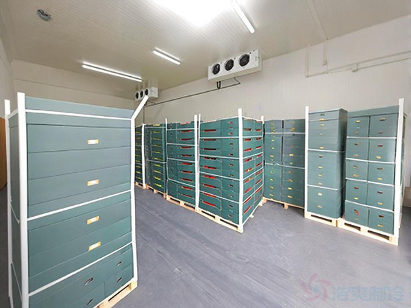 冷藏保鮮庫建設(shè)要求標(biāo)準(zhǔn)規(guī)范及造價預(yù)算