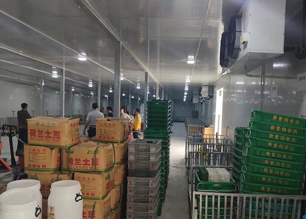2000平米土豆冷庫竟要200多萬？揭秘氣調(diào)保鮮庫天價背后！
