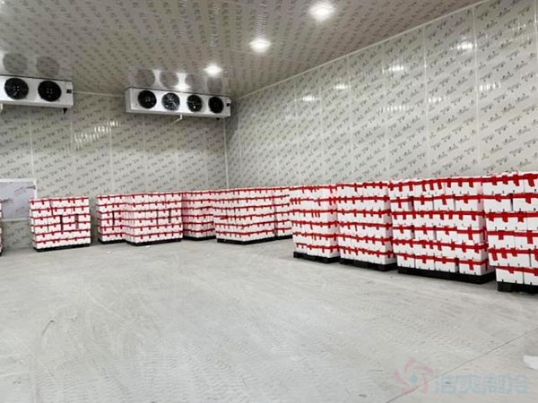 100噸水果保鮮冷庫(kù)造價(jià)預(yù)算大概多少錢？