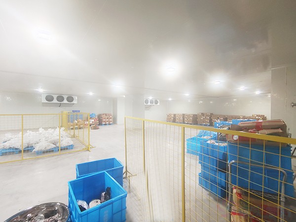建造一個(gè)冷庫要多少錢
