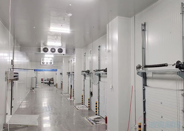 500平米冷庫(kù)建造成本