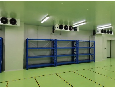 成都康諾亞一橋生物科技公司創(chuàng)新醫(yī)藥冷庫建設(shè)工程案例