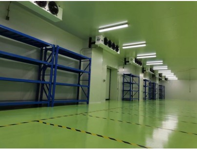 成都康諾亞一橋生物科技公司創(chuàng)新醫(yī)藥冷庫建設(shè)工程案例