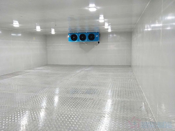 銅陵疾控自動(dòng)化冷庫(kù)溫度標(biāo)準(zhǔn)