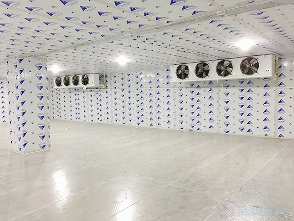 銅陵疾控自動(dòng)化冷庫(kù)溫度標(biāo)準(zhǔn)