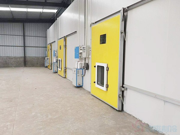 甘肅3000立方氣調(diào)果蔬冷庫建造價格