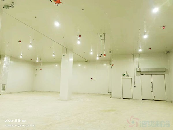 防爆冷庫建設