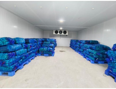 云南保山(食用菌）羊肚菌烘干房設計建造案例