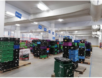 杭州盒馬48000m3生鮮配送型冷鏈物流園冷庫建造工程案例