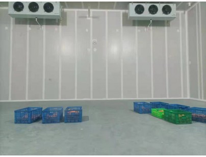 四川涼山·鹽源縣“三農(nóng)”服務氣調冷庫建設項目