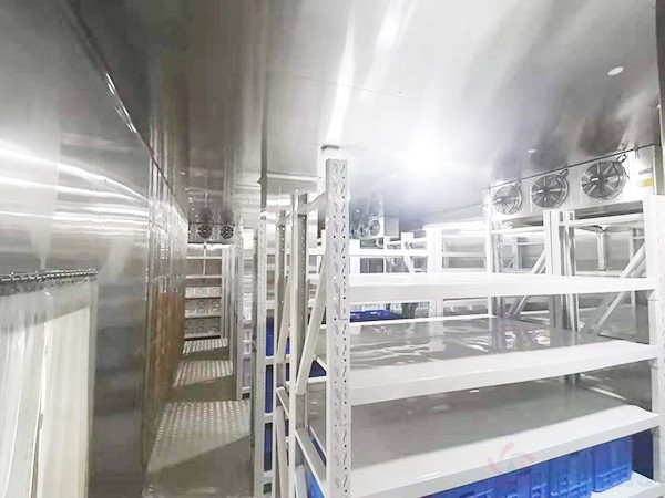 血液超低溫冷庫建設(shè)