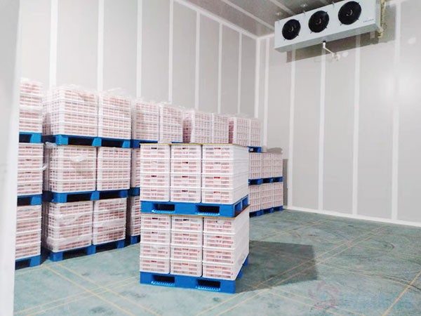 氣調(diào)保鮮庫(kù)建設(shè)