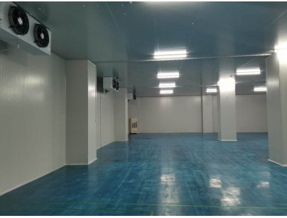 伊利乳業(yè)高標準乳制品加工冷鏈倉儲冷庫建造工程案例