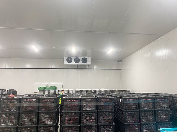 50噸蘋果冷庫建設